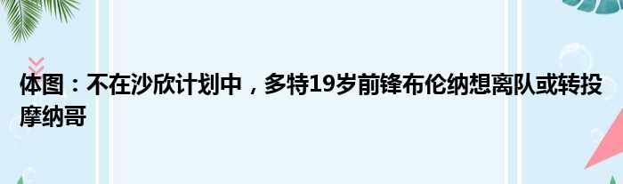 体图：不在沙欣计划中，多特19岁前锋布伦纳想离队或转投摩纳哥