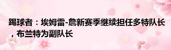 踢球者：埃姆雷-詹新赛季继续担任多特队长，布兰特为副队长