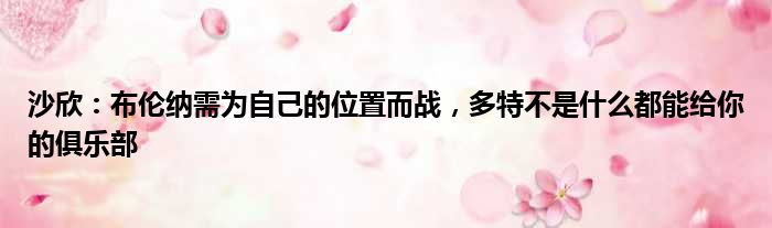 沙欣：布伦纳需为自己的位置而战，多特不是什么都能给你的俱乐部