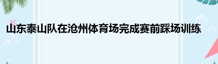 山东泰山队在沧州体育场完成赛前踩场训练