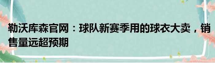 勒沃库森官网：球队新赛季用的球衣大卖，销售量远超预期
