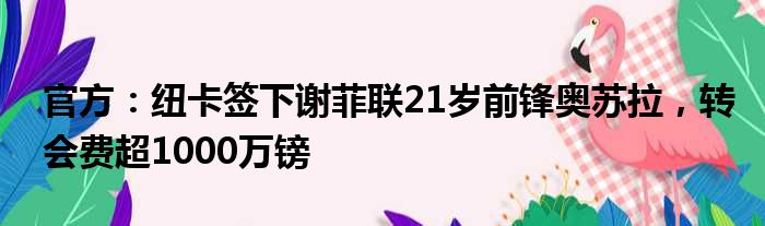 官方：纽卡签下谢菲联21岁前锋奥苏拉，转会费超1000万镑