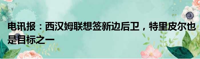 电讯报：西汉姆联想签新边后卫，特里皮尔也是目标之一