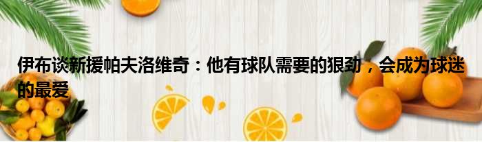 伊布谈新援帕夫洛维奇：他有球队需要的狠劲，会成为球迷的最爱