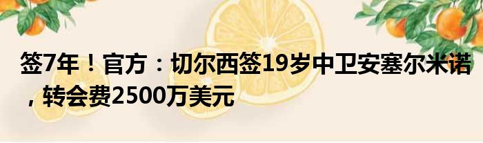 签7年！官方：切尔西签19岁中卫安塞尔米诺，转会费2500万美元