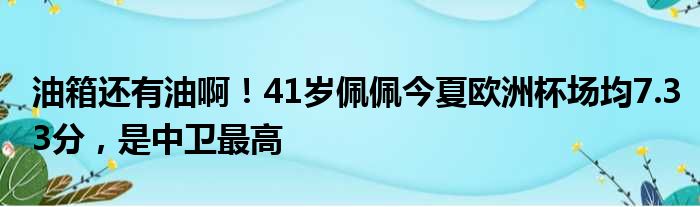 油箱还有油啊！41岁佩佩今夏欧洲杯场均7.33分，是中卫最高
