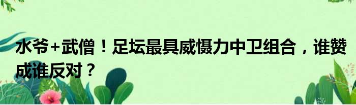 水爷+武僧！足坛最具威慑力中卫组合，谁赞成谁反对？