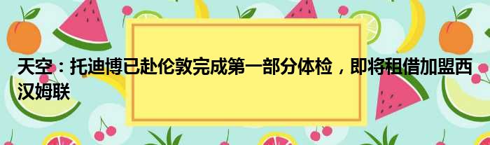 天空：托迪博已赴伦敦完成第一部分体检，即将租借加盟西汉姆联