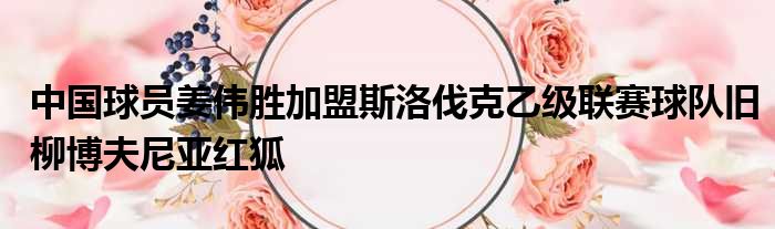 中国球员姜伟胜加盟斯洛伐克乙级联赛球队旧柳博夫尼亚红狐