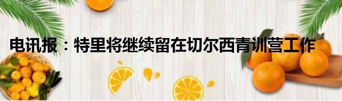 电讯报：特里将继续留在切尔西青训营工作