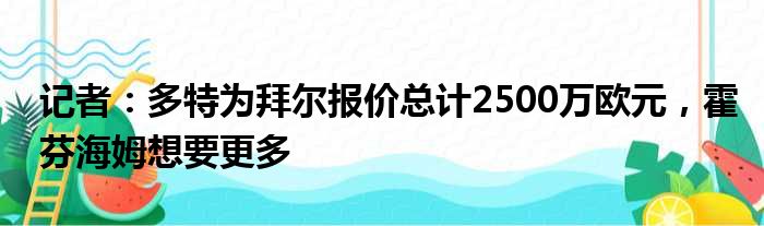 记者：多特为拜尔报价总计2500万欧元，霍芬海姆想要更多
