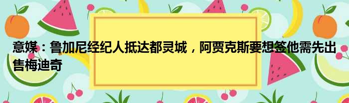 意媒：鲁加尼经纪人抵达都灵城，阿贾克斯要想签他需先出售梅迪奇