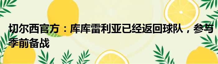 切尔西官方：库库雷利亚已经返回球队，参与季前备战