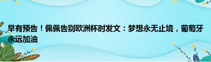 早有预告！佩佩告别欧洲杯时发文：梦想永无止境，葡萄牙永远加油