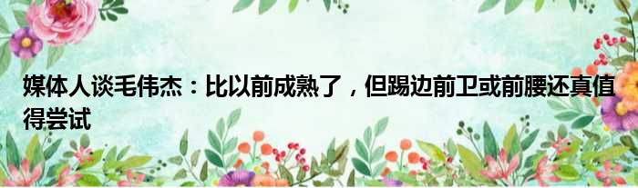 媒体人谈毛伟杰：比以前成熟了，但踢边前卫或前腰还真值得尝试