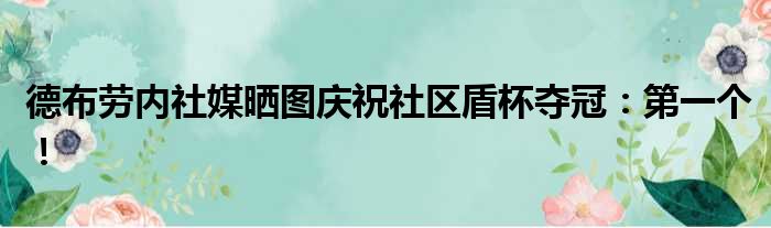 德布劳内社媒晒图庆祝社区盾杯夺冠：第一个！