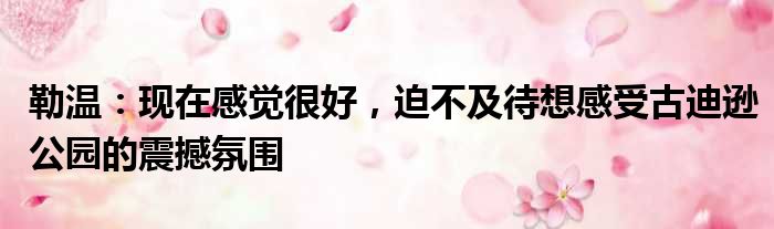勒温：现在感觉很好，迫不及待想感受古迪逊公园的震撼氛围