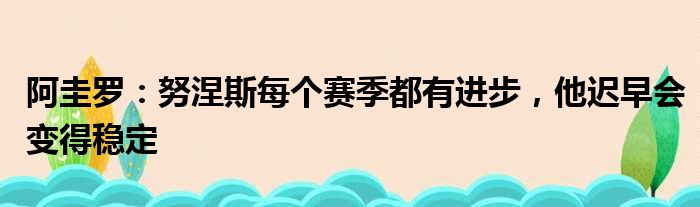 阿圭罗：努涅斯每个赛季都有进步，他迟早会变得稳定