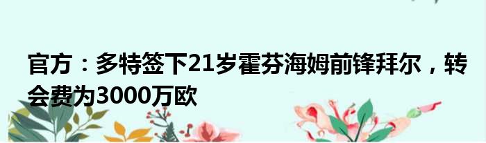 官方：多特签下21岁霍芬海姆前锋拜尔，转会费为3000万欧