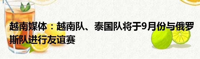 越南媒体：越南队、泰国队将于9月份与俄罗斯队进行友谊赛