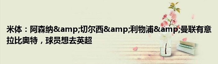 米体：阿森纳&切尔西&利物浦&曼联有意拉比奥特，球员想去英超