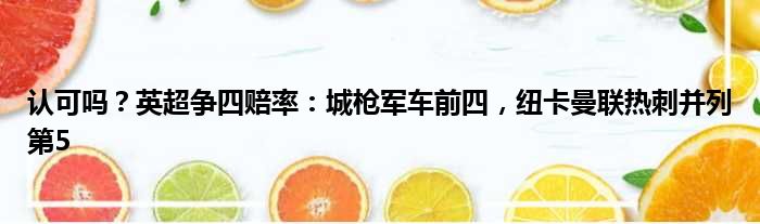 认可吗？英超争四赔率：城枪军车前四，纽卡曼联热刺并列第5