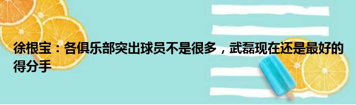 徐根宝：各俱乐部突出球员不是很多，武磊现在还是最好的得分手