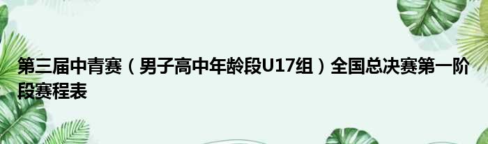 第三届中青赛（男子高中年龄段U17组）全国总决赛第一阶段赛程表