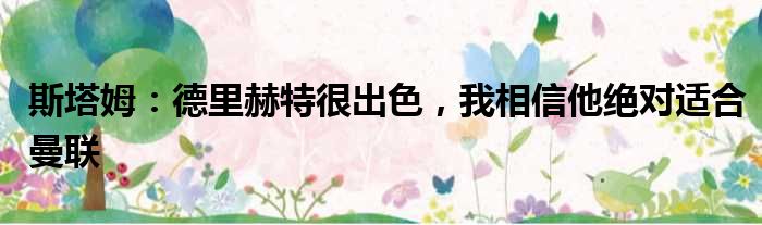 斯塔姆：德里赫特很出色，我相信他绝对适合曼联