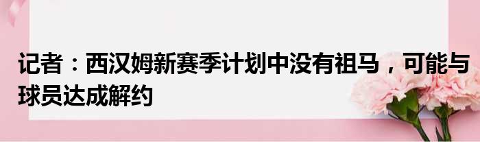 记者：西汉姆新赛季计划中没有祖马，可能与球员达成解约
