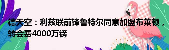 德天空：利兹联前锋鲁特尔同意加盟布莱顿，转会费4000万镑
