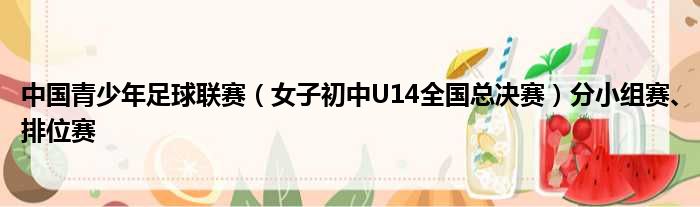 中国青少年足球联赛（女子初中U14全国总决赛）分小组赛、排位赛
