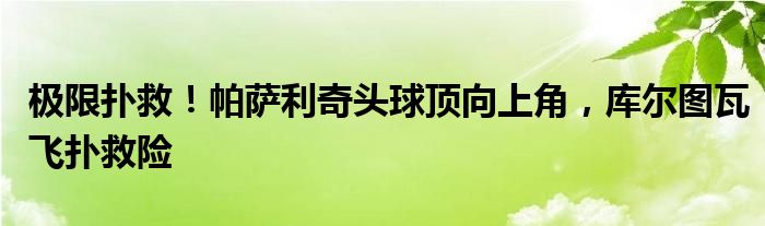 极限扑救！帕萨利奇头球顶向上角，库尔图瓦飞扑救险