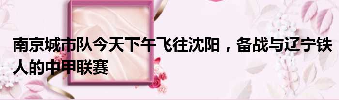 南京城市队今天下午飞往沈阳，备战与辽宁铁人的中甲联赛