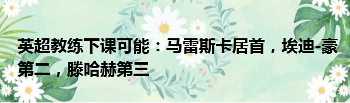 英超教练下课可能：马雷斯卡居首，埃迪-豪第二，滕哈赫第三