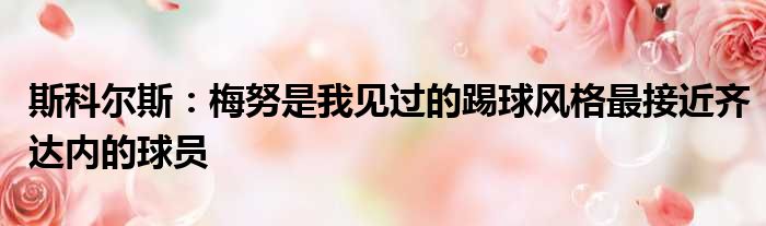 斯科尔斯：梅努是我见过的踢球风格最接近齐达内的球员