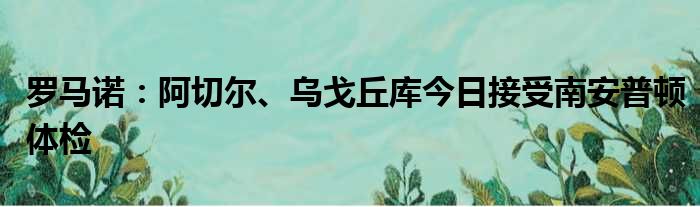 罗马诺：阿切尔、乌戈丘库今日接受南安普顿体检