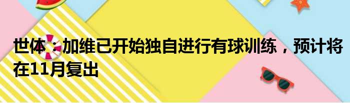 世体：加维已开始独自进行有球训练，预计将在11月复出