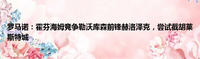 罗马诺：霍芬海姆竞争勒沃库森前锋赫洛泽克，尝试截胡莱斯特城