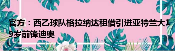 官方：西乙球队格拉纳达租借引进亚特兰大19岁前锋迪奥