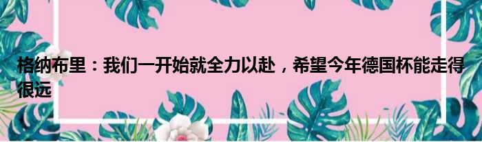 格纳布里：我们一开始就全力以赴，希望今年德国杯能走得很远
