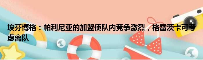 埃芬博格：帕利尼亚的加盟使队内竞争激烈，格雷茨卡可考虑离队