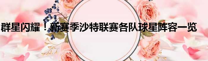 群星闪耀！新赛季沙特联赛各队球星阵容一览