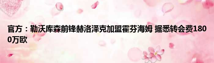 官方：勒沃库森前锋赫洛泽克加盟霍芬海姆 据悉转会费1800万欧