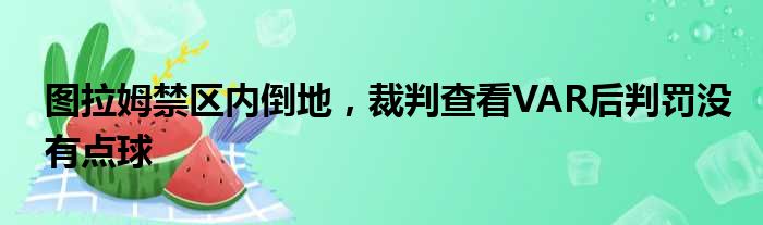 图拉姆禁区内倒地，裁判查看VAR后判罚没有点球