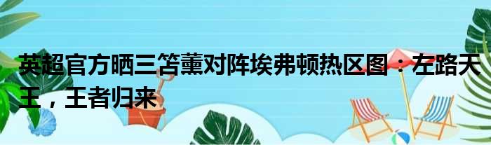 英超官方晒三笘薰对阵埃弗顿热区图：左路天王，王者归来