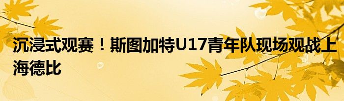 沉浸式观赛！斯图加特U17青年队现场观战上海德比