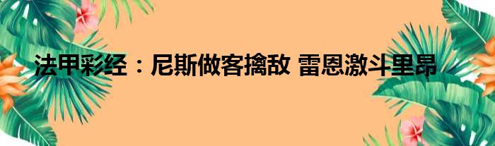 法甲彩经：尼斯做客擒敌 雷恩激斗里昂