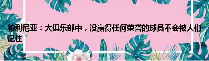 帕利尼亚：大俱乐部中，没赢得任何荣誉的球员不会被人们记住