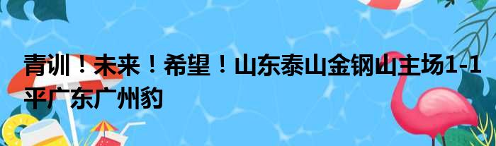 青训！未来！希望！山东泰山金钢山主场1-1平广东广州豹